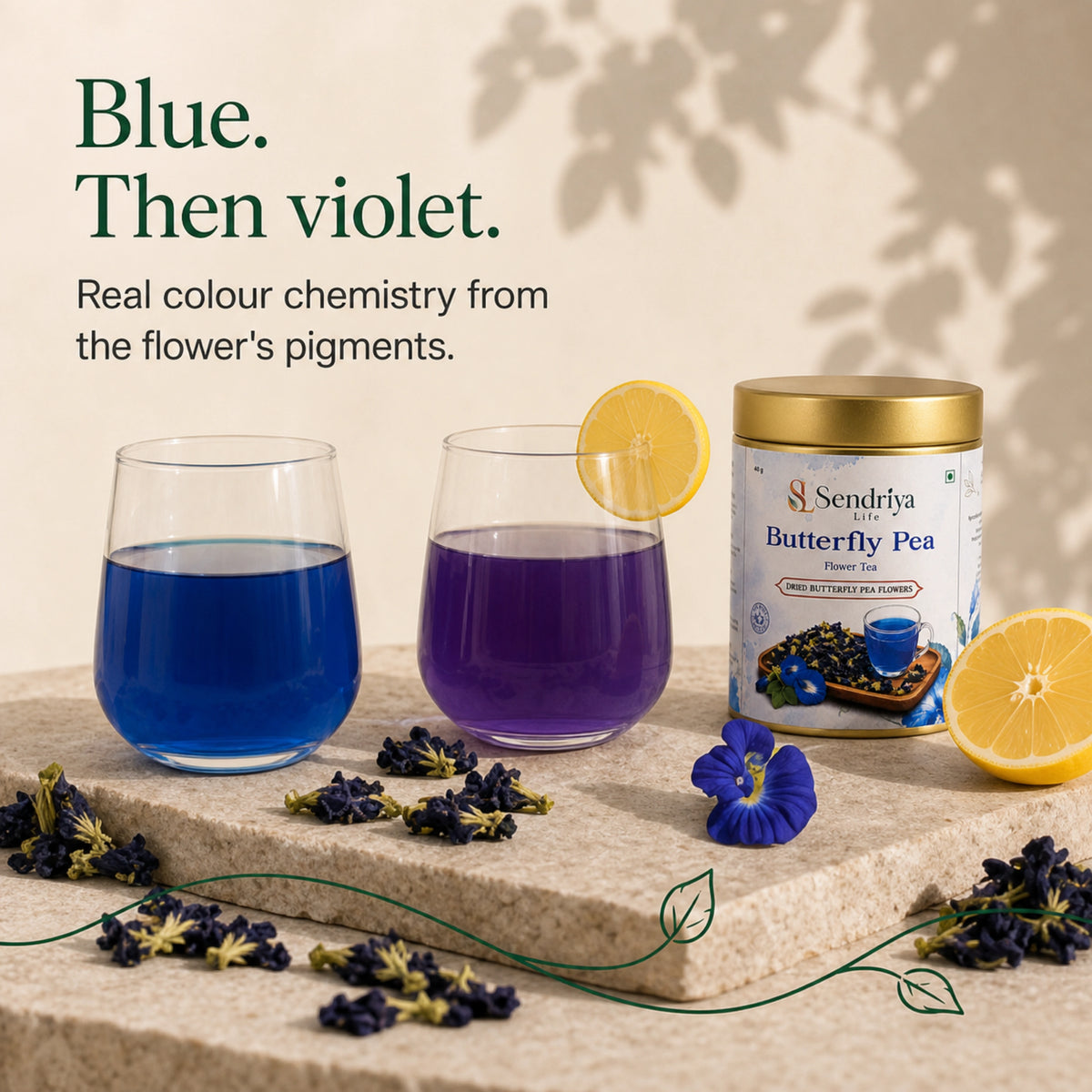 How to use Butterfly Pea Flower Tea in drinks and meals